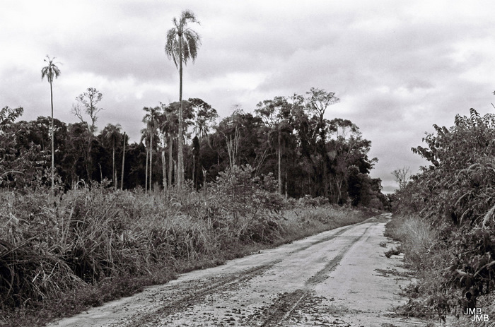 AÑO 1980 - BLANCO Y NEGRO - VIDA CAMPESINA EN PARAGUAY (JOSÉ MARÍA BLANCH)